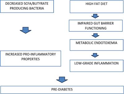 Gut microbiome and prediabetes - a review